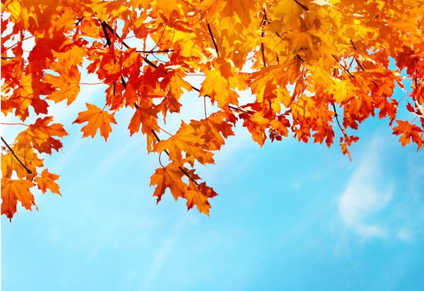 Introduction to True Success Begins October 15th!