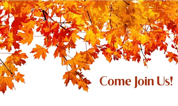 Introduction to True Success Begins THIS Wednesday!